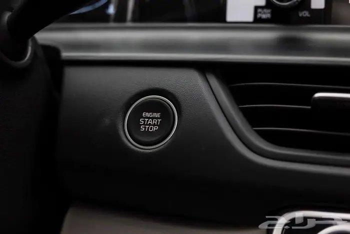 سيلتوس نص فل2025 10