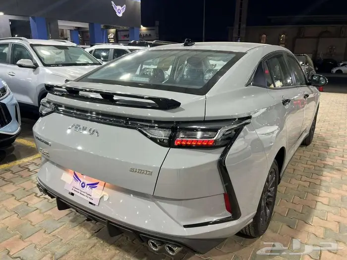 ونج فينج شاين اقل الاسعار 2026 5