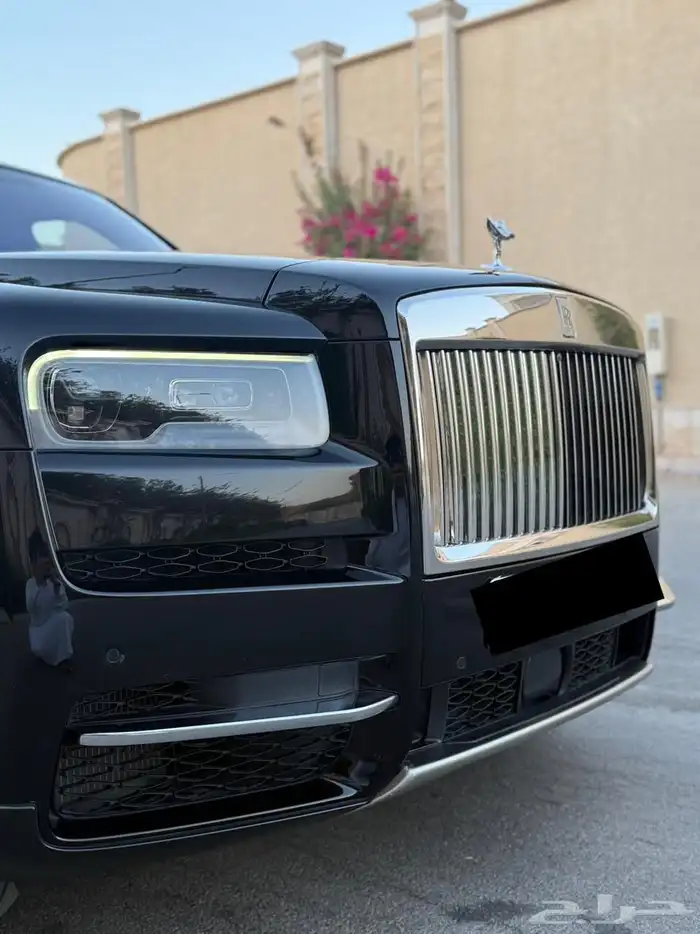 روز كولينان 2019 سلفر باج ناغي 8