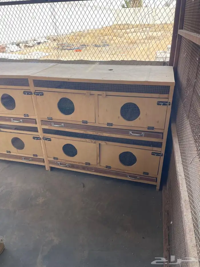 حضانات صوص العدد 2 دورين ورفرف تنظيف 0