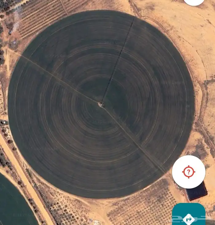 مطلوب مزرعه للايجار لبرسيم 0