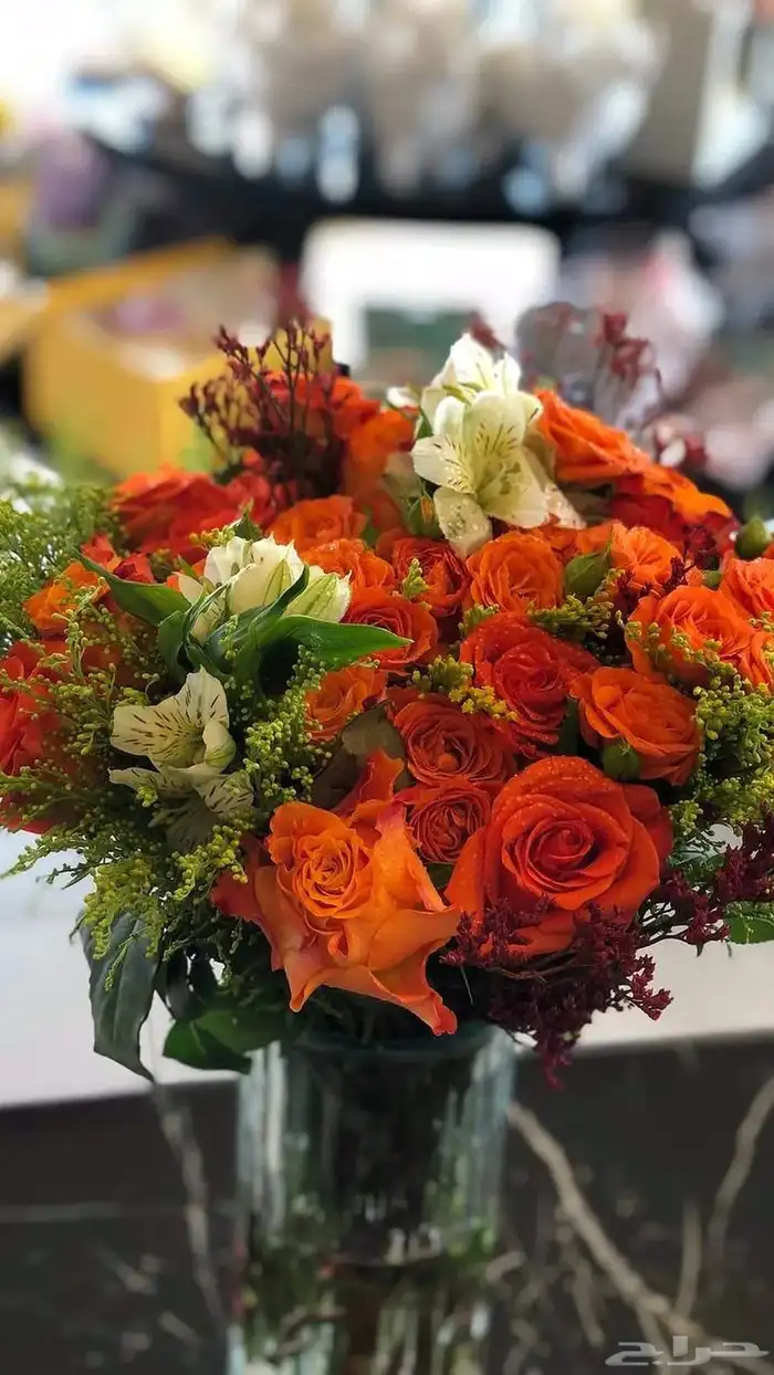 منسق ورد ابحث عن شغل الجنسيه يمني 1