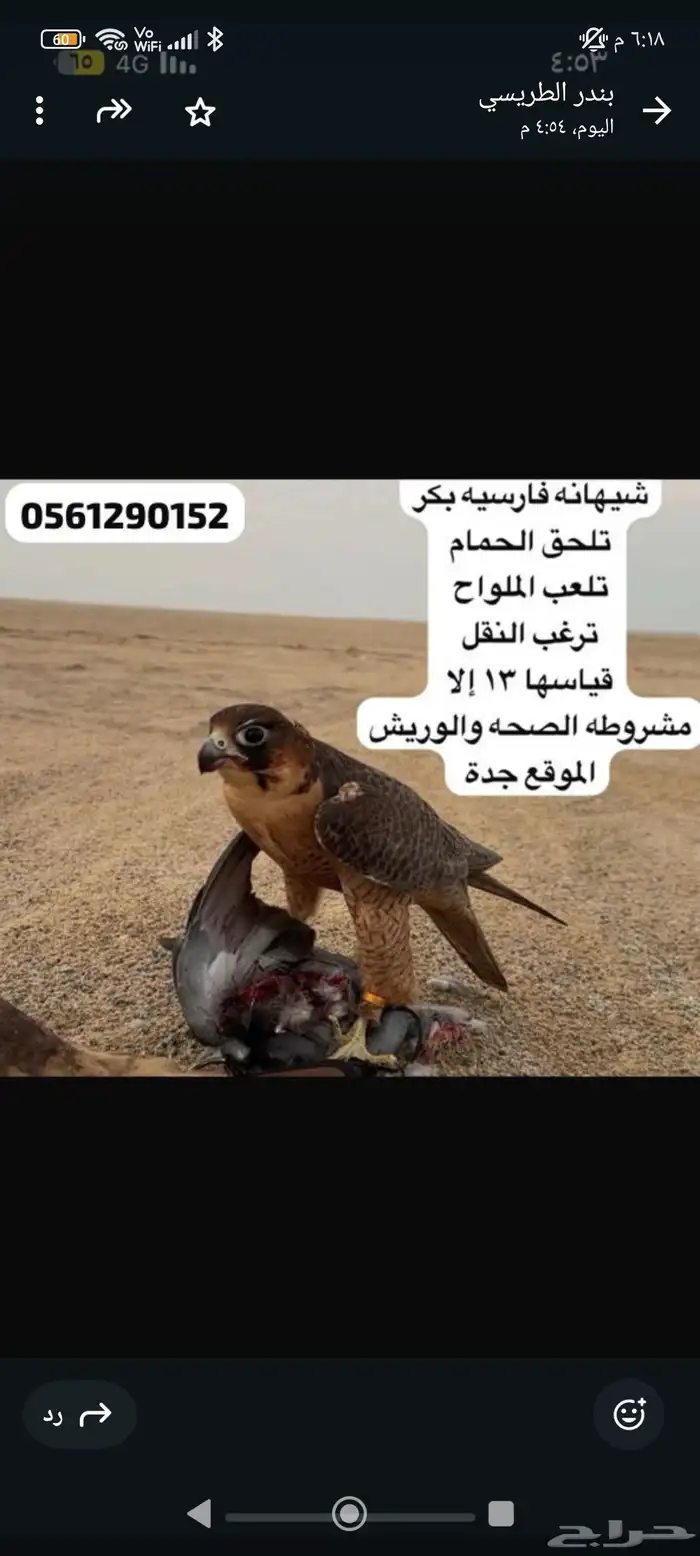 للبيع شيهانه فارسيه بكر مشروطه حمام سلم 0