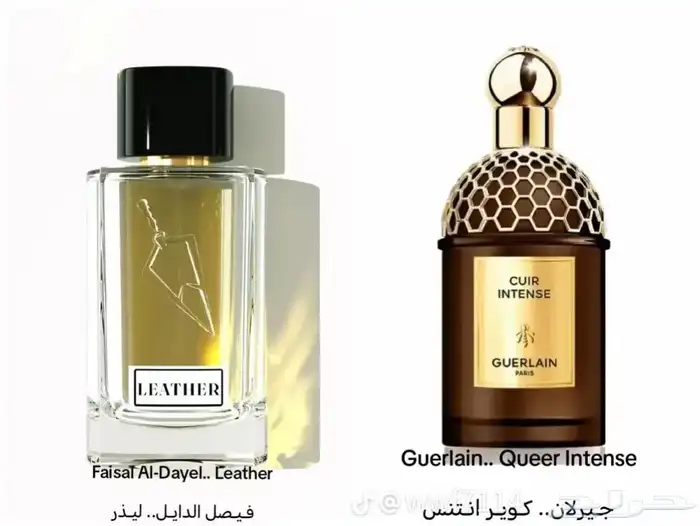 تصنيع براند خاص فيد او بيع العطور جملة 0