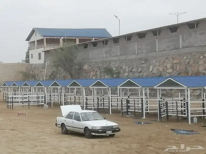 قر ميد بيت مشاب نار تلبيس قر ميد  وري دارجا آلو 0