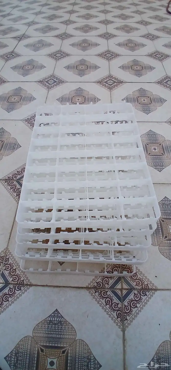 شبك بيض للوز والبط 0