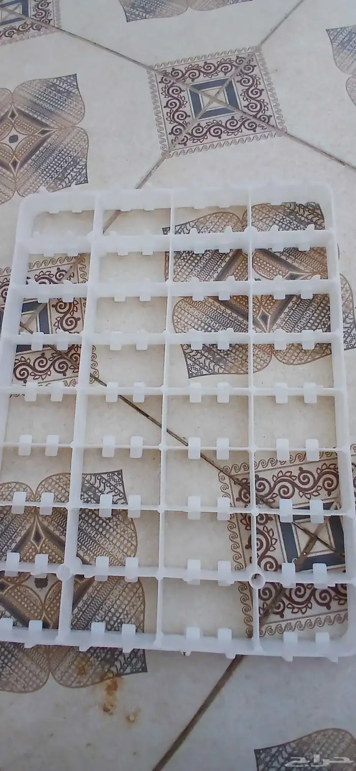 شبك بيض للوز والبط 1