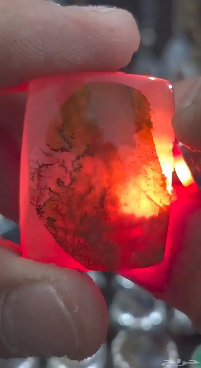 حجر عيق مصور دب 2