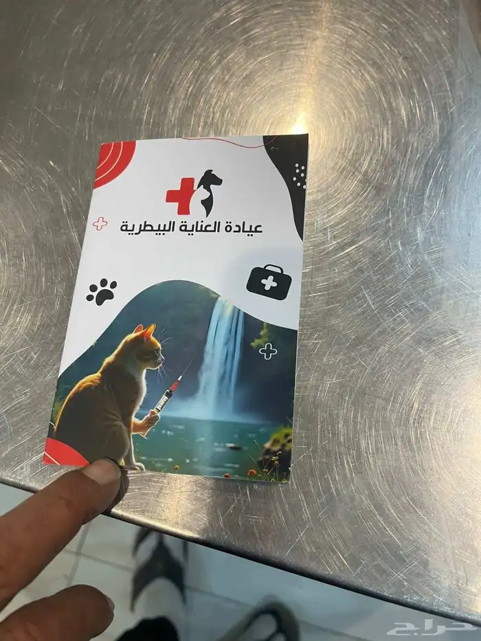 كلاب بومرينيان العمر 45 يوم معاهم جوازات تطعيم الجنس ذكور 0