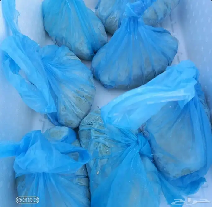 توفر الخضير الحب والجاهز حياكم الله 4