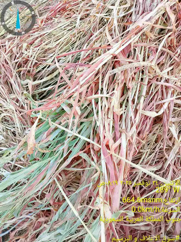 دره رشاش ناعم جديد لون أبيض واخضر من وادي الدواسر 0