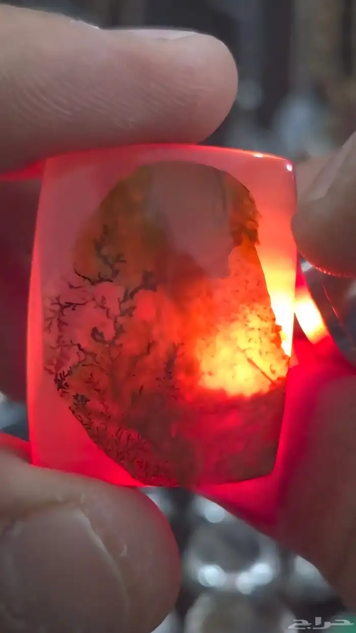 حجر عيق مصور دب 0