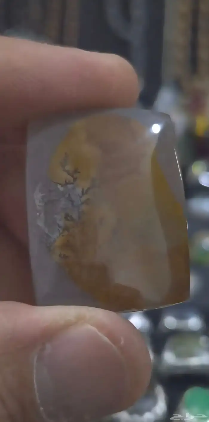 حجر عيق مصور دب 1