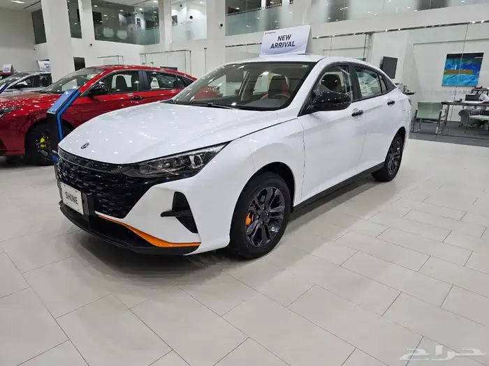 شاين E1 دونغ فينغ 2026 من التوكيلات العالميه للسبارات 5