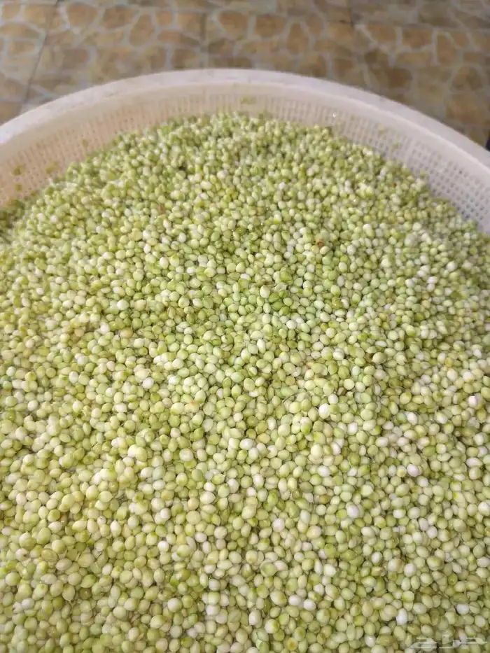 توفر الخضير الحب والجاهز حياكم الله 2