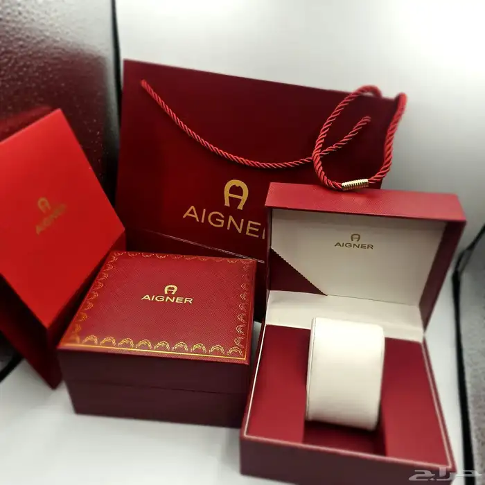 ساعة AIGNER نسائية أنيقة مع أسوارة 4