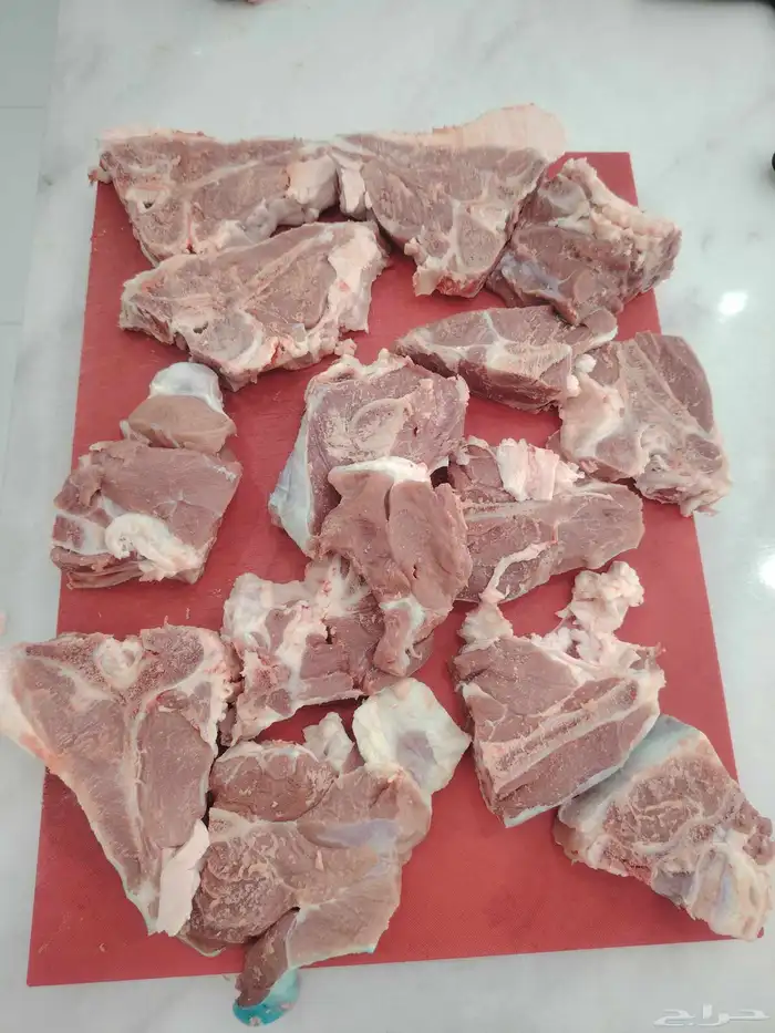 محمد جزار من مصر مقيم بالسعودية ببحث عن أي عمل في اي ملحمه 3