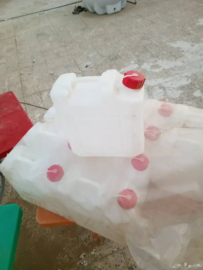 جركل العدد 12 2