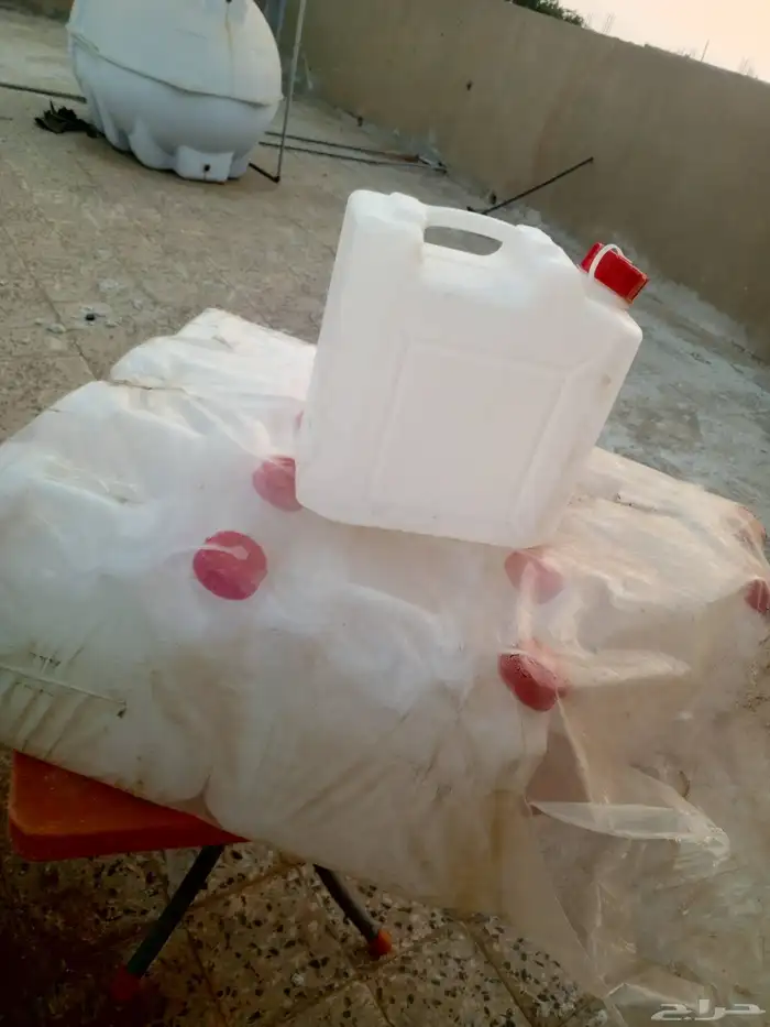 جركل العدد 12 1