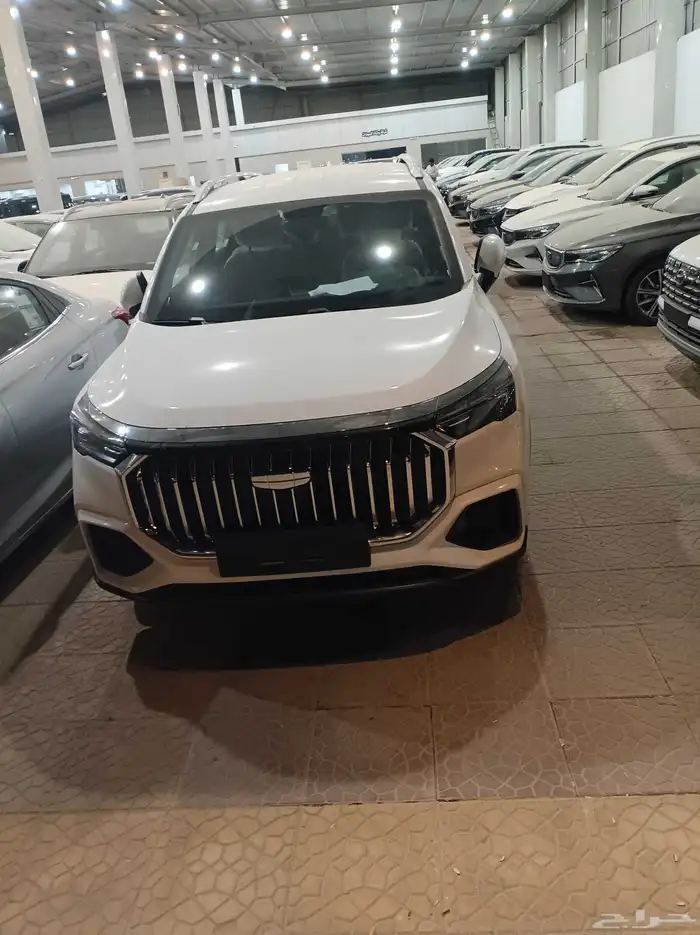 جيلى اوكافانجو 2025 3