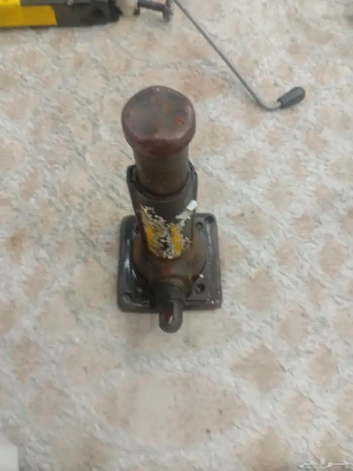 عفريتات للبيع نظيفه للبيع على السوم عفريته 8