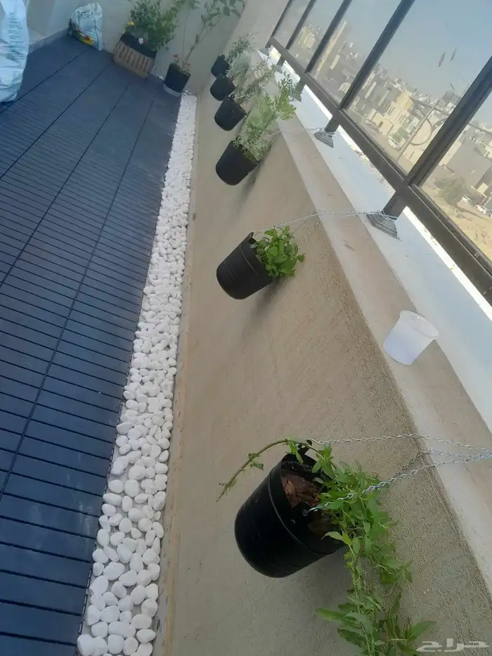 تنسيق حدائق 5