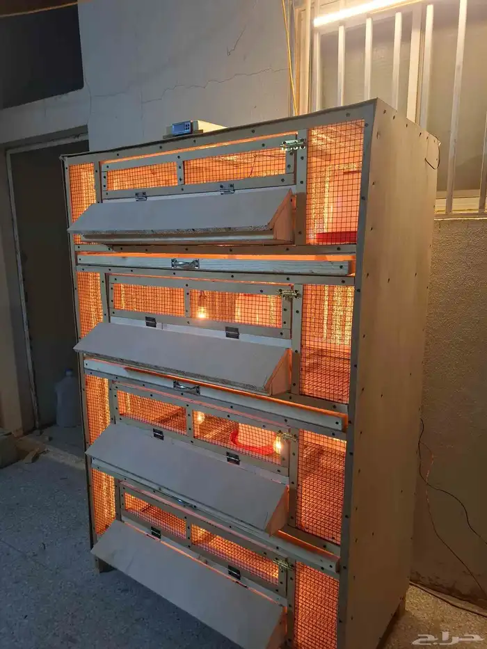 تفصيل حاظنات صوص 3