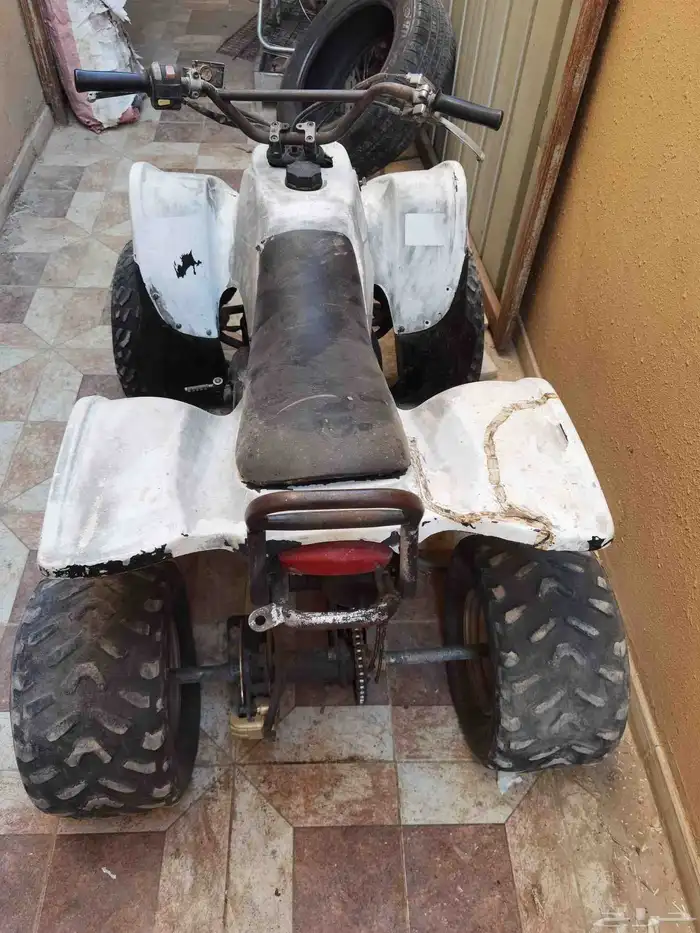 دباب تايوان حجم 100 1