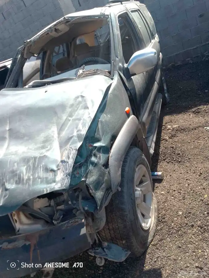 نسيان بت فندر مديل 2002 1