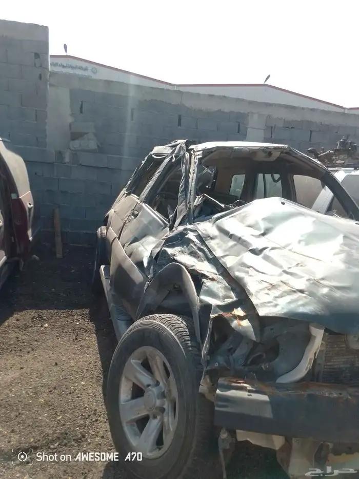 نسيان بت فندر مديل 2002 3