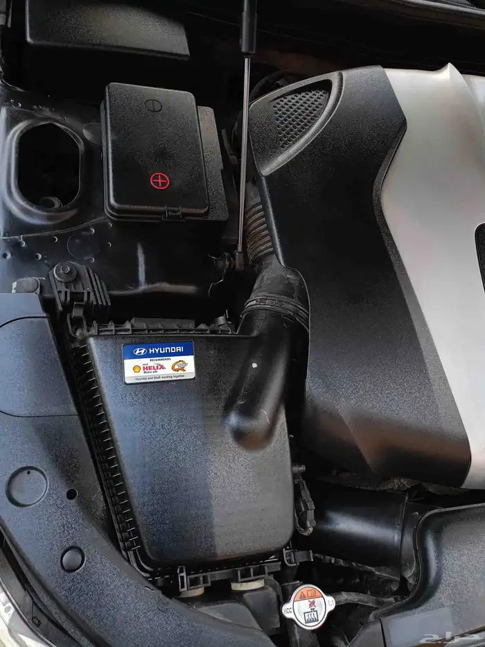 جنسس ملكية للبيع او البدل المناسب 15