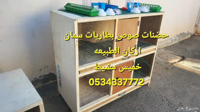 حضانات صوص دجاج او بطاريات سمات 1