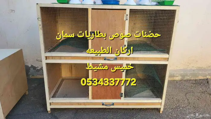 حضانات صوص دجاج او بطاريات سمات 2