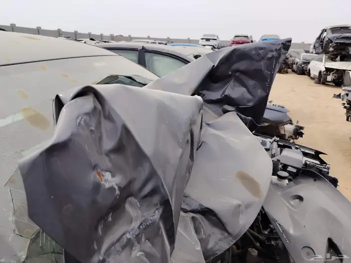 جيلي امجراند7 2023 4