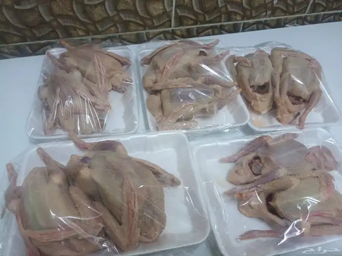 حمام زغاليل 1