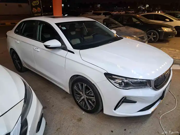 جيلي فل 2023 1