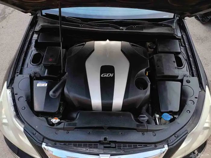 جنسس ملكية للبيع او البدل المناسب 14