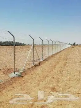 يوجد لدينا جميع انواع النخيل العربي والوشنطني توصيل جميع الم 8