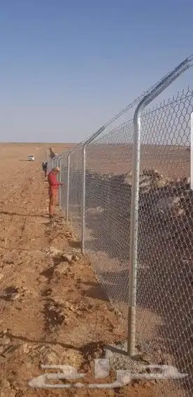 يوجد لدينا جميع انواع النخيل العربي والوشنطني توصيل جميع الم 9