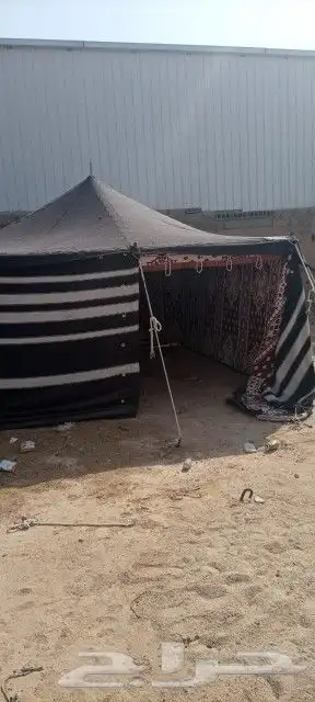 خيام بيوت شعر قطبة 9