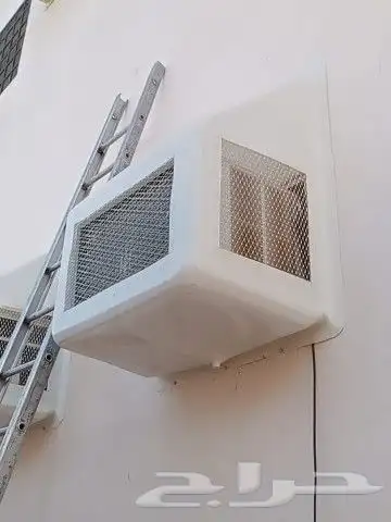 شبك الحمام 2