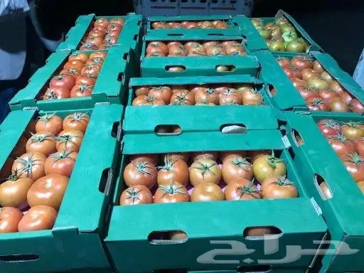 استثمار متميز فى مشروع جيد 3