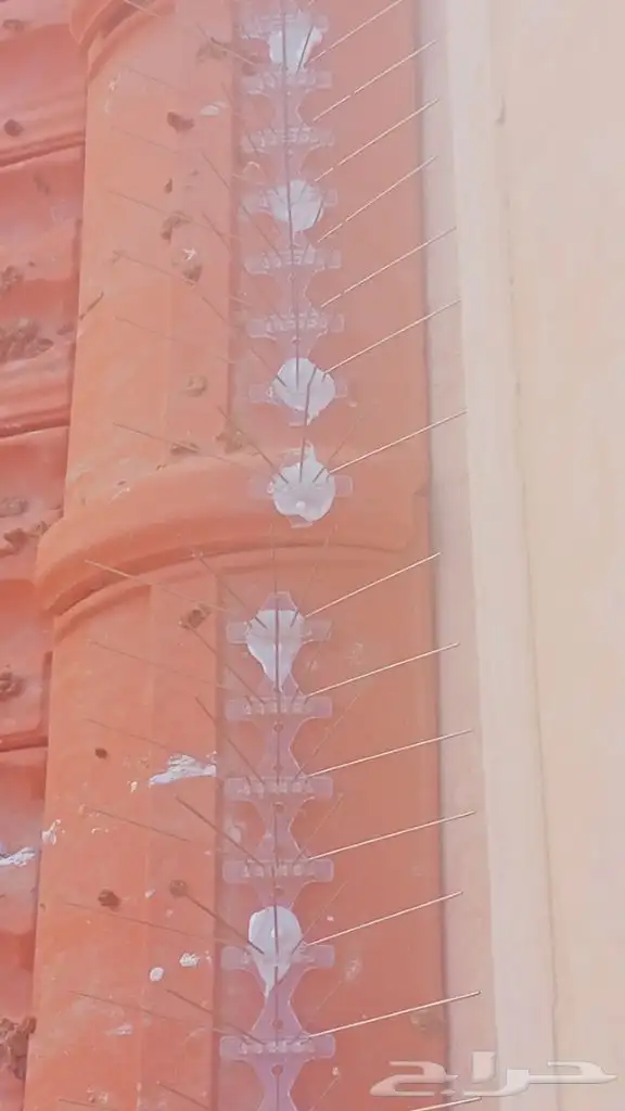 فيبر مو يف شوغول تر يب الخرجي 6