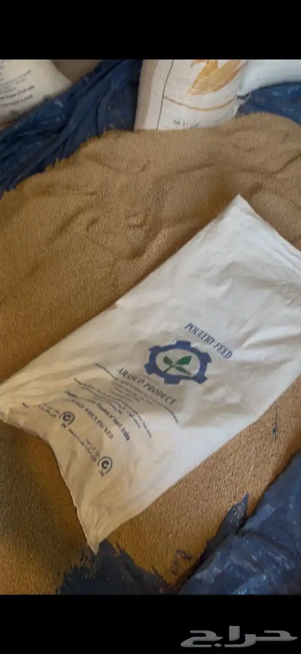 زغاليل فرنسي تربيه خاصة 1