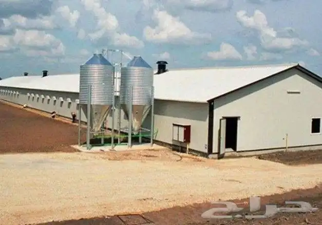 مقاول حضائردواجن 17