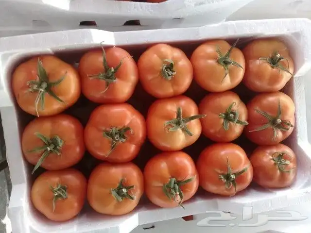 استثمار متميز فى مشروع جيد 4