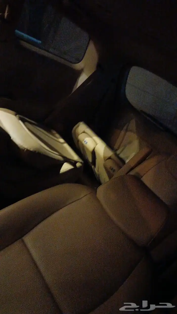 كيا كرفنال 2019 6