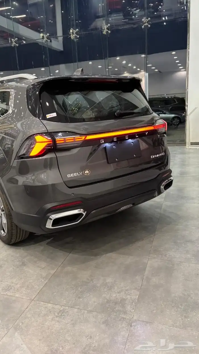 جيلي أوكافانجو 2025 1