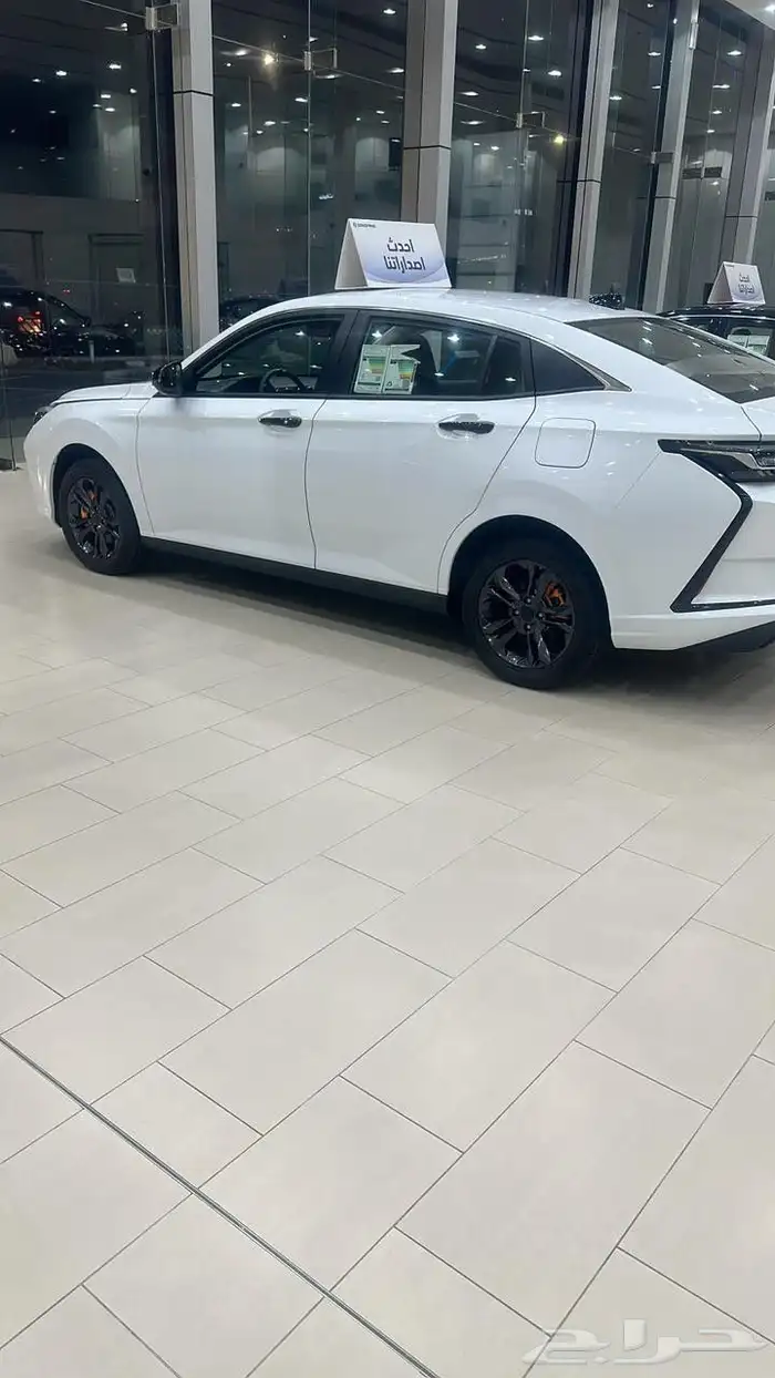 شاين E1 دونغ فينغ 2026 من التوكيلات العالميه للسبارات 3