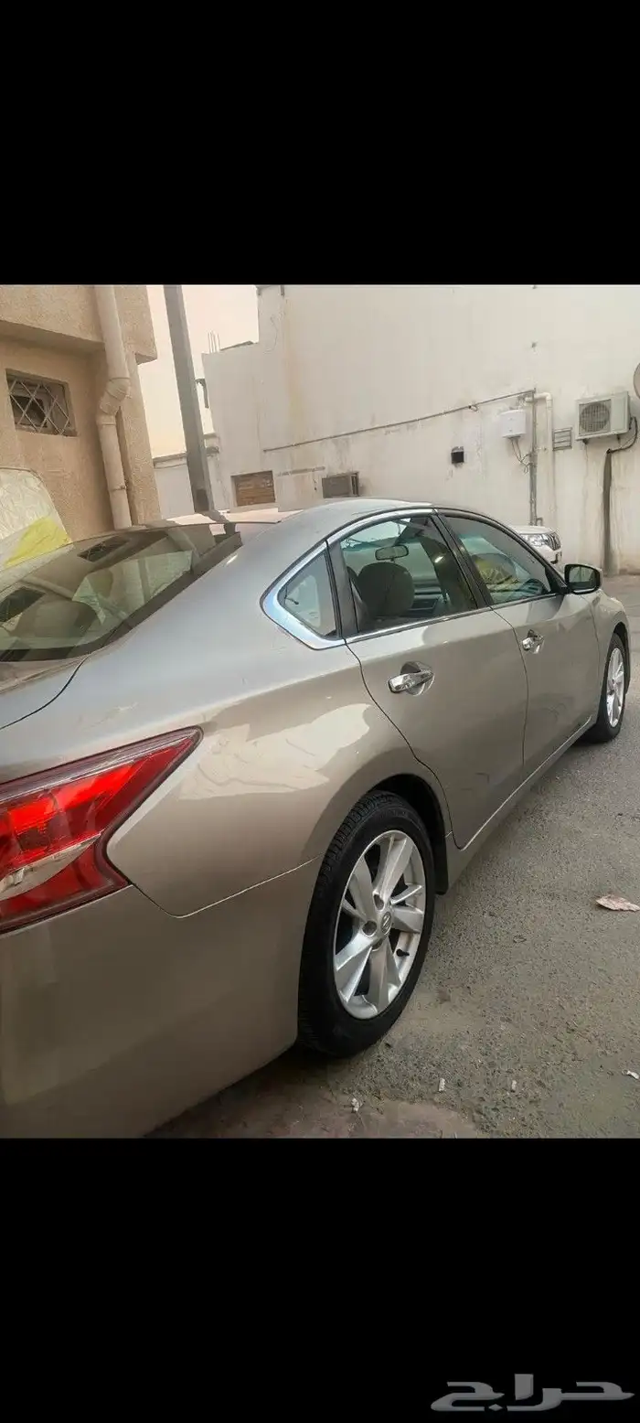 للبيع التيما . 2